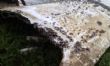 Vol MH370 : des débris retrouvés à Madagascar redonnent espoir - Afrik.com : l'actualité de l'Afrique noire et du Maghreb