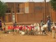 Koutiala: hausse du prix du mouton - Bamada.net