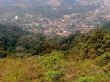 Burundi Eco Les forêts du sud menacées, les éco-gardes résistent - Burundi Eco