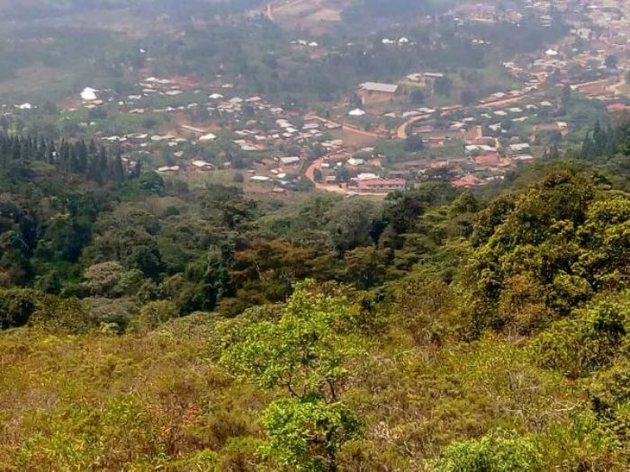 Burundi Eco Les forêts du sud menacées, les éco-gardes résistent - Burundi Eco