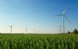 Greening the Future - The Mail & Guardian