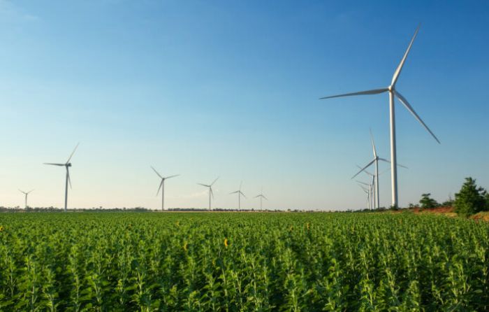 Greening the Future - The Mail & Guardian