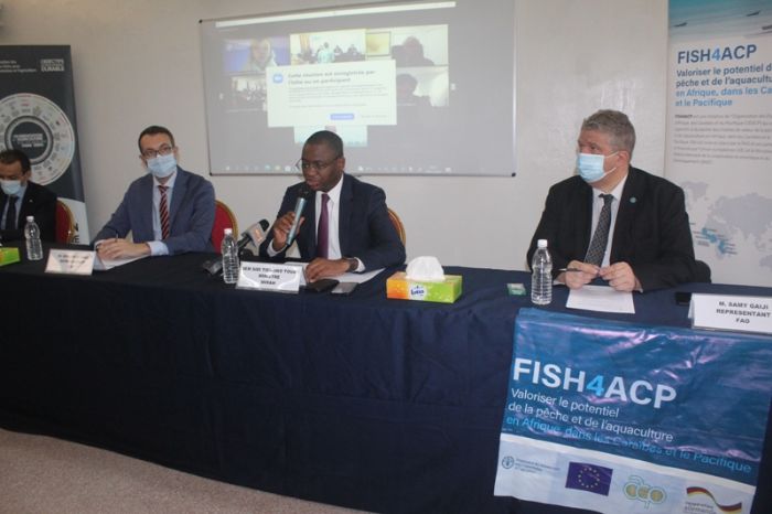Consensus autour d'un plan de production de tilapia en Côte d'Ivoire - Journal de Bangui