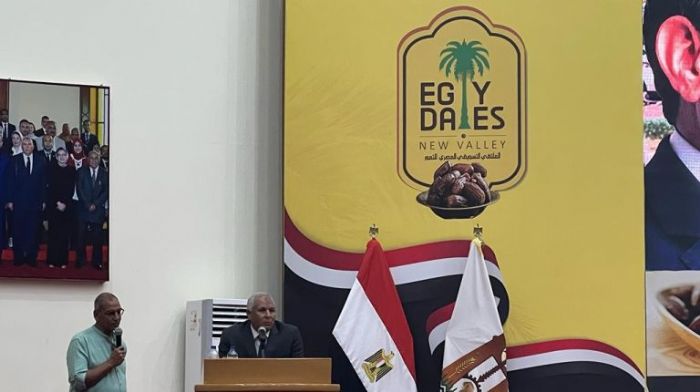 New Valley has enormous tourism potentials: Governor   - Daily News Egypt
