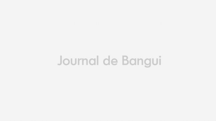 Coopération : concertation entre Touadéra et Macron  –  