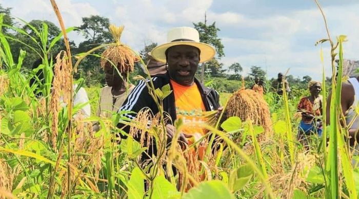 Charles Blé Goudé: Revenons à nos réalités, la récolte du riz en Côte d’Ivoire | Ivorian.Net: Presse et portail d'Informations générales
