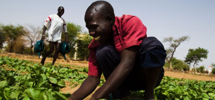 INTRANTS AGRICOLES : Le ministre de l’Agriculture prend langue avec les fournisseurs pour la réussite de la campagne agricole – Le Combat – Actualités Mali