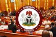 Senate passes South West Development Commission bill