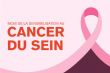 Congo-octobre rose : plus de 2 200 000 cas de cancer du sein découverts en 2022 - Journal de Brazza