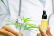 Cannabis légal : pari réussi pour le Maroc 