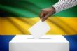 Gabon : des acteurs politiques saisissent la Cour constitutionnelle pour le report du scrutin - Journal de Brazza