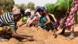 ENVIRONNEMENT: 1 milliard de dollars par jour à investir entre 2025 et 2030 pour lutter contre la désertification – Le Canard Déchaîné Niger