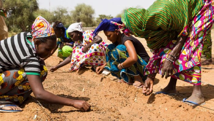 ENVIRONNEMENT: 1 milliard de dollars par jour à investir entre 2025 et 2030 pour lutter contre la désertification – Le Canard Déchaîné Niger