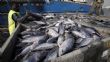 La Selab Fisheries Expo arrive à Abidjan ce 24 avril | L'Intelligent d'Abidjan