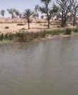 AGRICULTURE: Changement climatique et opportunités liées aux transformations environnementales dans la vallée « Korama » de Gogo-Machaya – Le Canard Déchaîné Niger