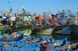 Du Congo au Ghana, le requin est le poisson le moins cher du marché - Mondafrique