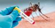 Dengue au Mali : plus de 336 cas confirmés, le président appelle à la vigilance  –  