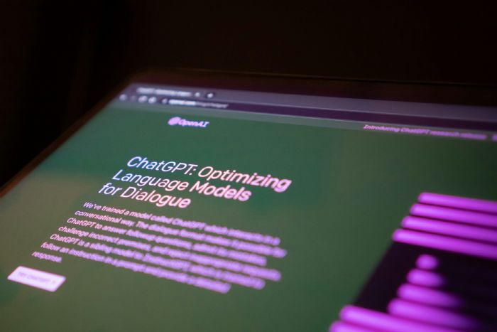 “Do You Work Well With AI?”: Why Fluency With Tools Like ChatGPT Is the New Workplace Essential - iAfrica.com