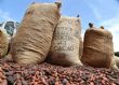 (Côte d’Ivoire) Accord international sur le cacao-Ce que gagne les pays producteurs d’Afrique de l’Ouest