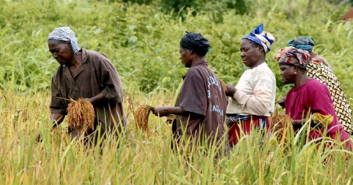 Politiques d’adaptation | Climat et catastrophes : l’ARC et TrustAfrica s’allient pour placer les femmes au cœur de la résilience africaine