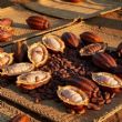 Cacao : quatre pays africains créent une alliance  à Abuja