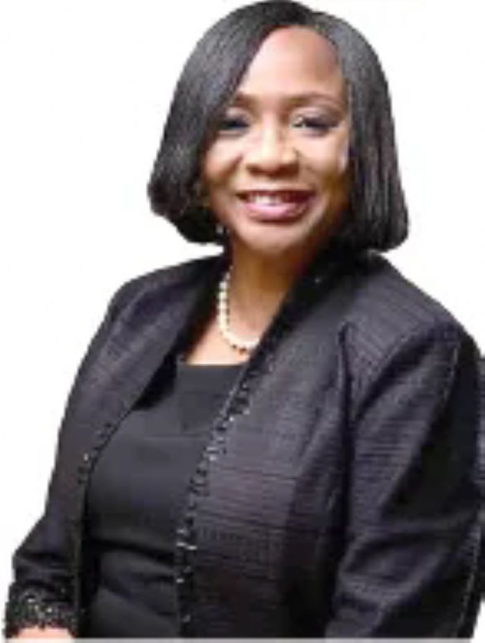 Doctors can succeed in Nigeria without going abroad, says UNILAG VC