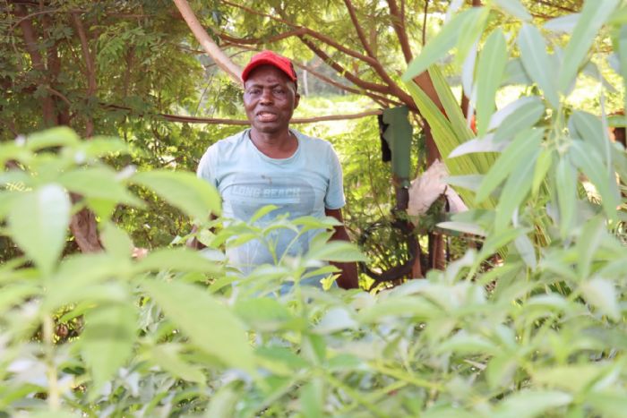 Segbnonma Nikiéma, des forêts ivoiriennes aux pépinières de Ouagadougou