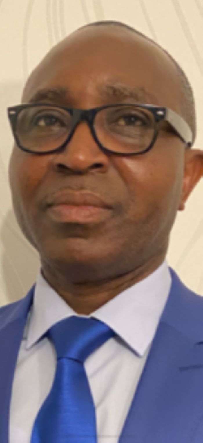 Centrafrique : La démission ou la destitution du Président de la République pourrait-elle débloquer la crise et contribuer au renouveau politique ?