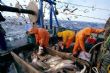 Pêche africaine : Moscou transforme la science en l evier d’accès