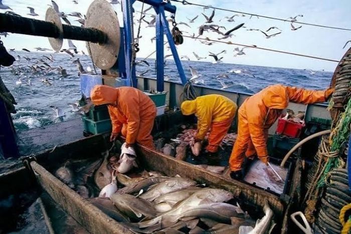 Pêche africaine : Moscou transforme la science en l evier d’accès