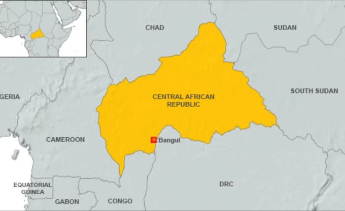 Over 100 Labourers Killed in Gold Mine Collapse in Central African Republic