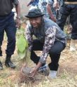 RCA : À Bangui, 50 hectares pour restaurer le couvert végétal