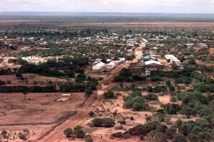 Drones turcs en Afrique : une frappe relance le déb at
