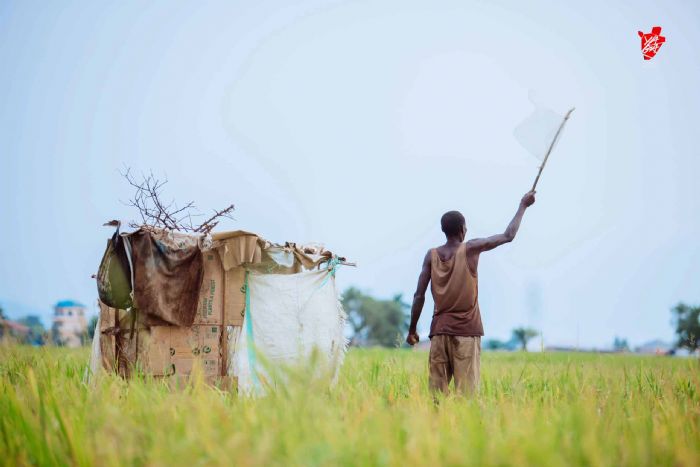 Réformes éducatives au Burundi : et si les rustines suffisaient plus ?