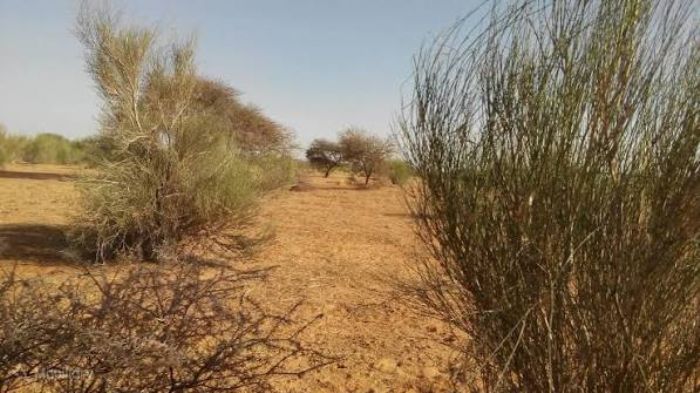 Niger : plusieurs soldats tués près d’Abala, bil an inconnu