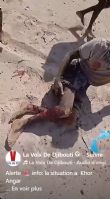 22/09/2026 : Alerte urgente : khor angar, le régime tire des balles réelles sur la population
