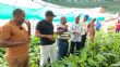 Mohéli : le SGG et le ministère de l’Agriculture découvrent les 5 000 bananiers cultivés avec l’appui du FSRP à Fomboni