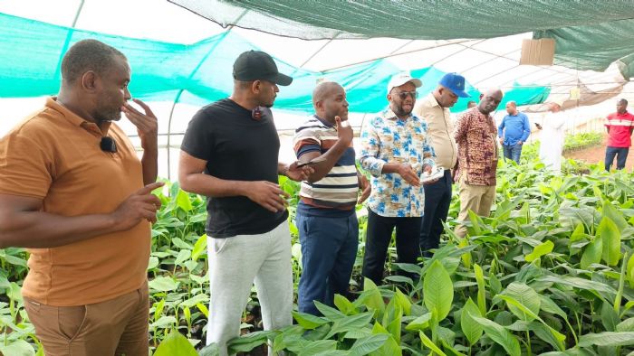 Mohéli : le SGG et le ministère de l’Agriculture découvrent les 5 000 bananiers cultivés avec l’appui du FSRP à Fomboni