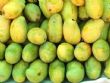Mangue ivoirienne : 3,5 milliards FCFA pour reconquérir l’Europe