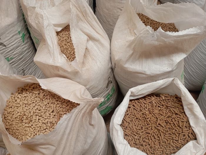 Bobo-Dioulasso : des déchets de mangue transformés en aliments pour animaux