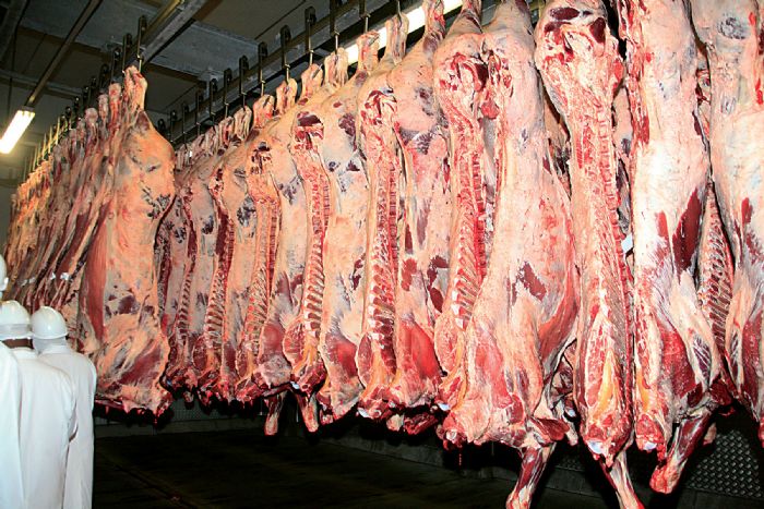 FMD crisis: South Africa opens door to Botswana Beef