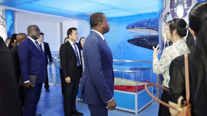 Togo / Faure en Chine: Énième vadrouille pour du beurre