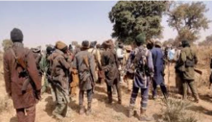 ‘We counted over 20 bodies after attackers left’ – Taraba massacre survivors