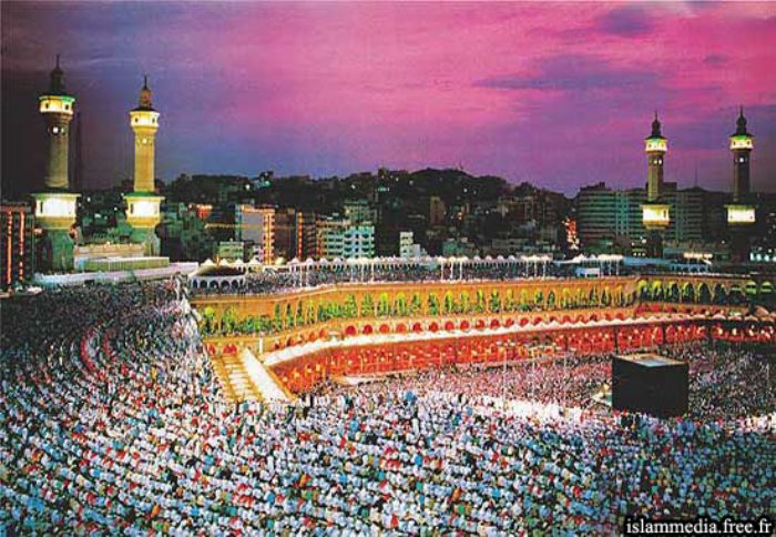
					Organisation du pèlerinage: Un Hadj plus paisible pour 2009 ?