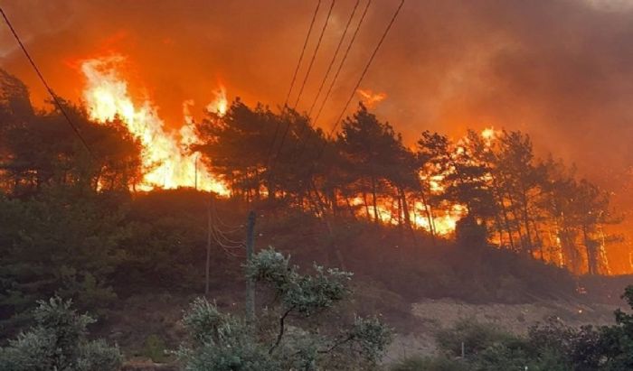 L'Assurance incendie s'impose face au désintérêt des Tunisiens