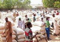 Nigeria : le marché de Dawanau, pilier du commerce de céréales en Afrique de l’Ouest
