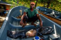 Anjouan : un cœlacanthe, ce « fossile vivant » vieux de millions d’années, capturé à la veille de la fête nationale