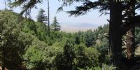 Maroc : L’ANEF cartographie le risque des incendies de forêts