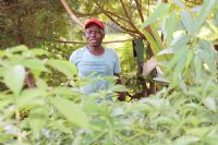Segbnonma Nikiéma, des forêts ivoiriennes aux pépinières de Ouagadougou