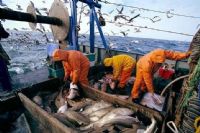 Pêche africaine : Moscou transforme la science en l evier d’accès